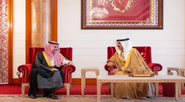 تعزيز العلاقات بين مصر والبحرين محور لقاء وزير الخارجية مع الملك حمد